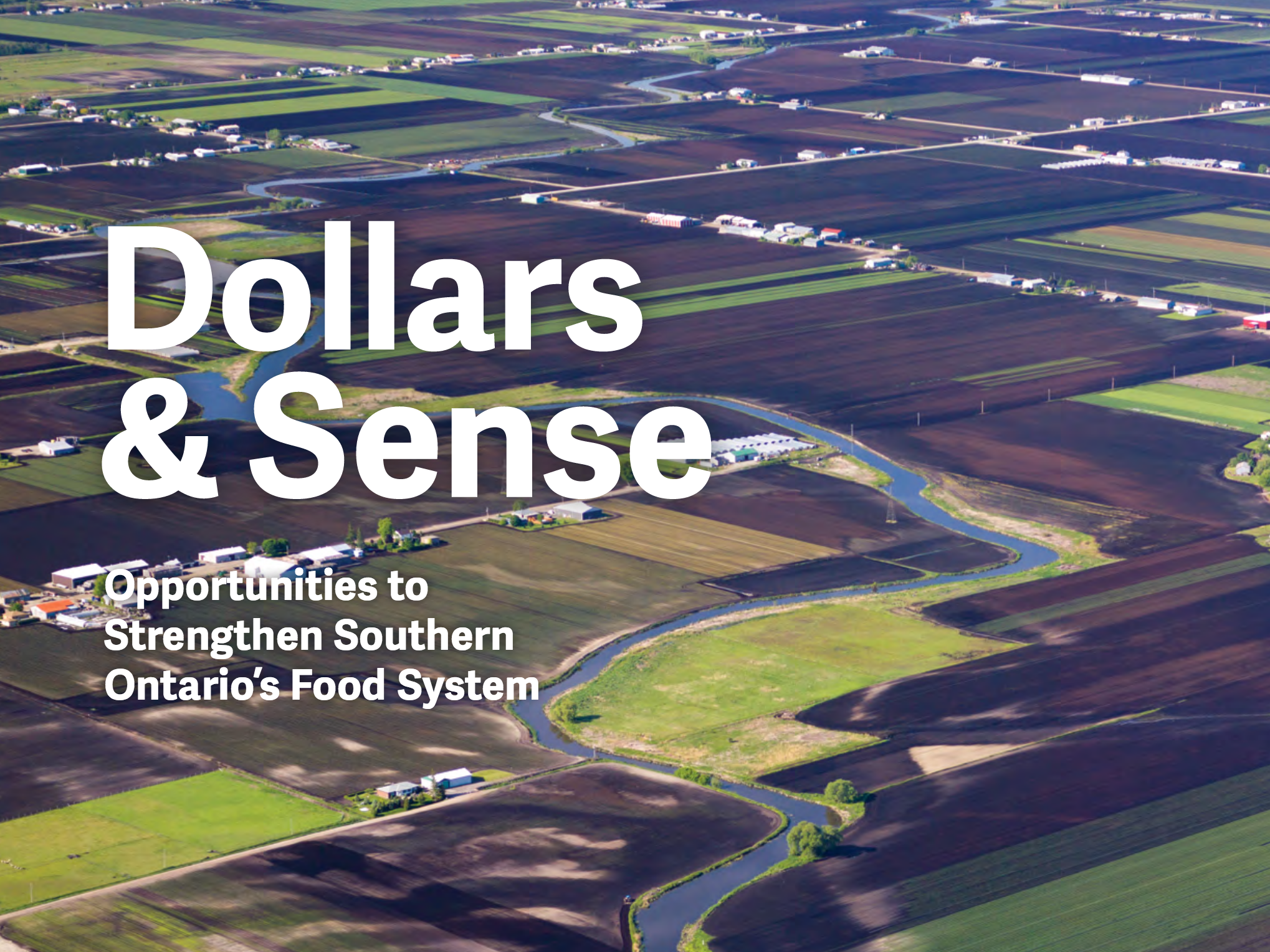 Report cover: an overhead shot of farmland with text: "Dollars & Sense: Opportunities to Strengthen Southern Ontario's Food System"