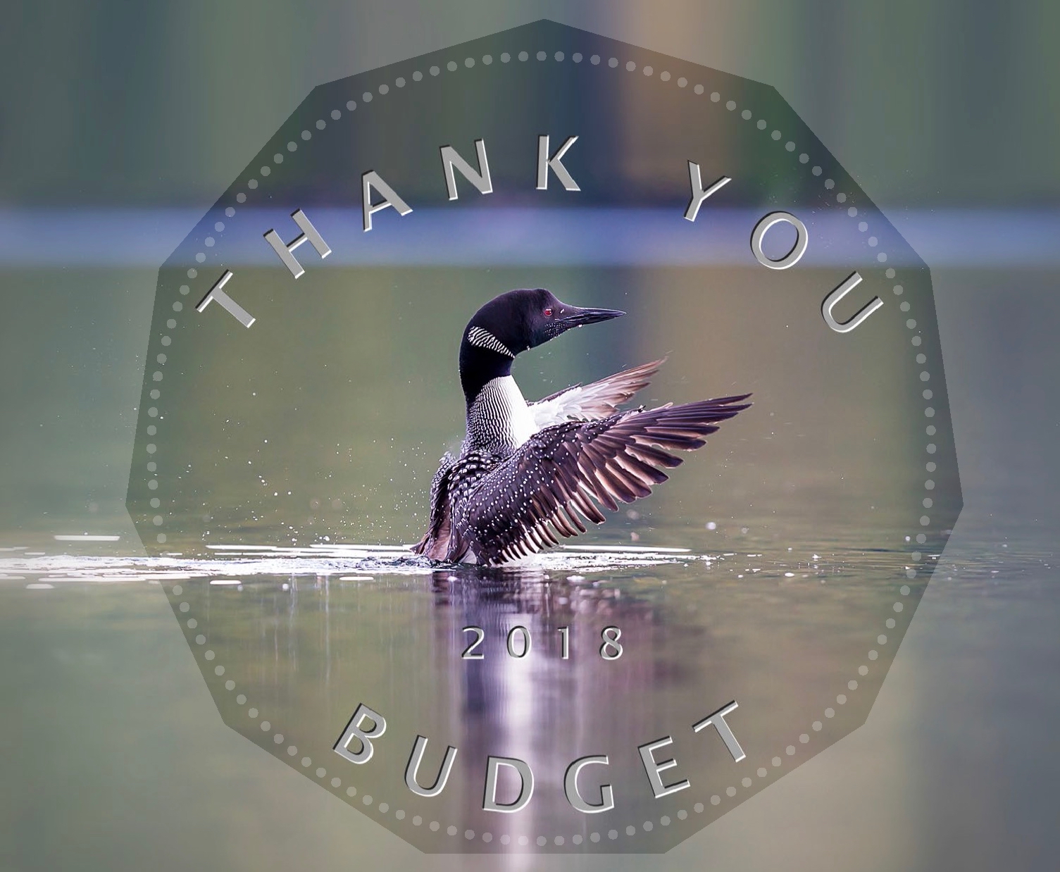 Green Budget Coalition Celebrates Budget 2018 1