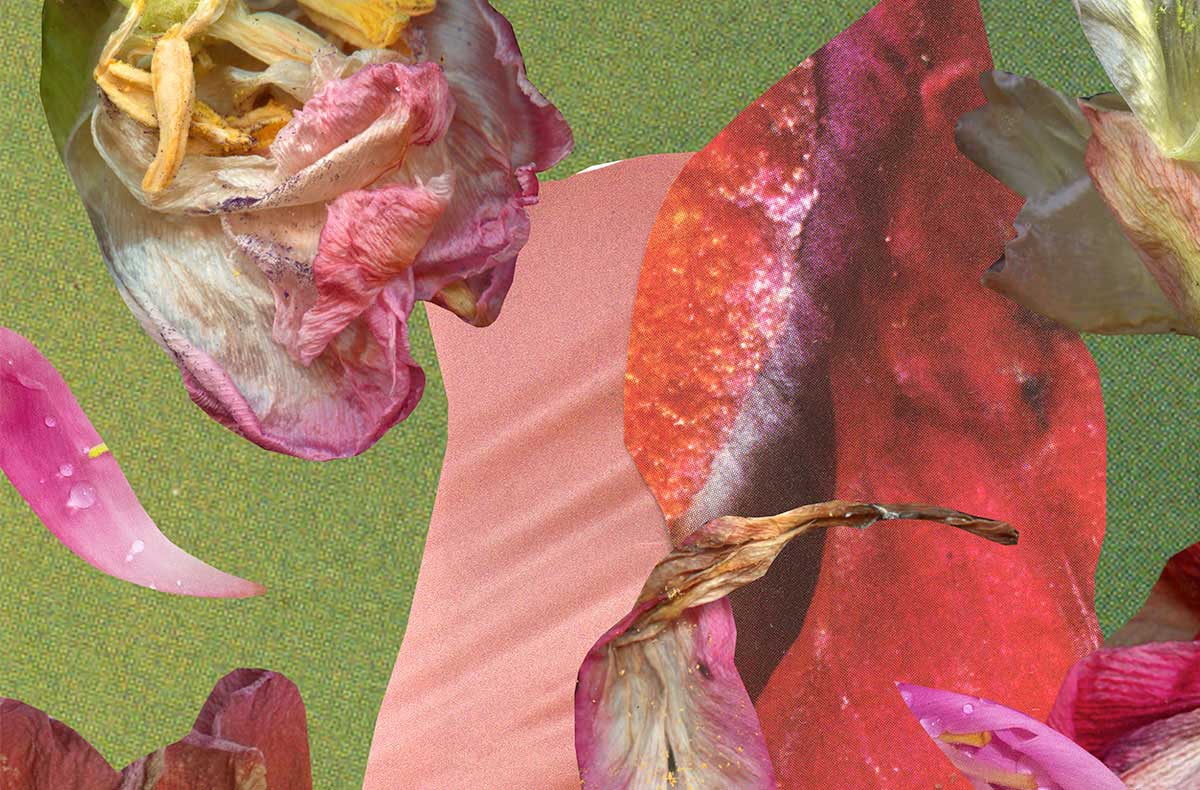PlantWave-Slice-1
